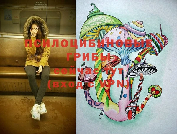 хмурый Балахна