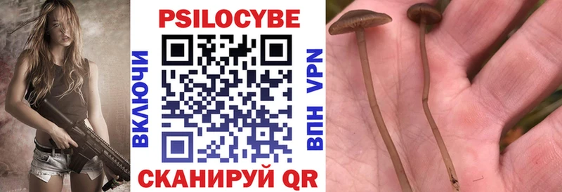 где купить   Кубинка  Галлюциногенные грибы прущие грибы 