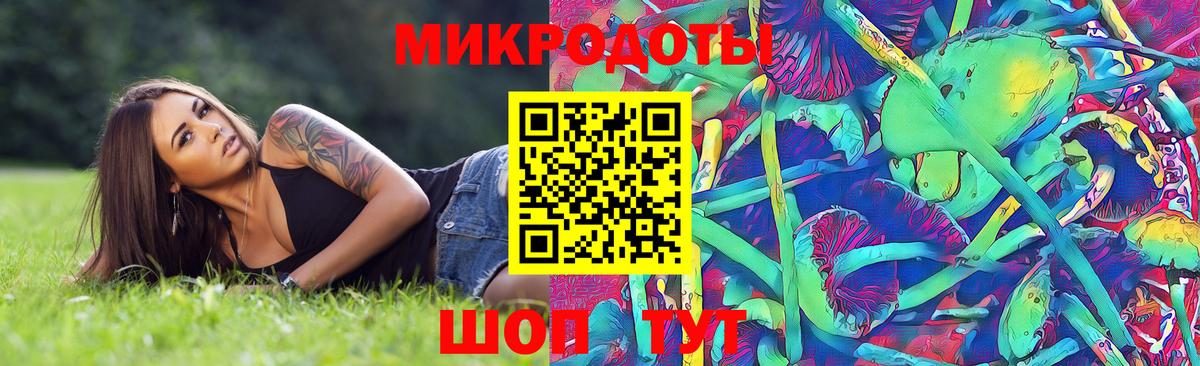 Галлюциногенные грибы Psilocybine cubensis Кубинка